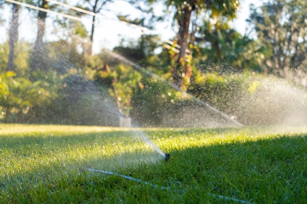 Sproeier die water over een gazon verspreidt in tegenlicht