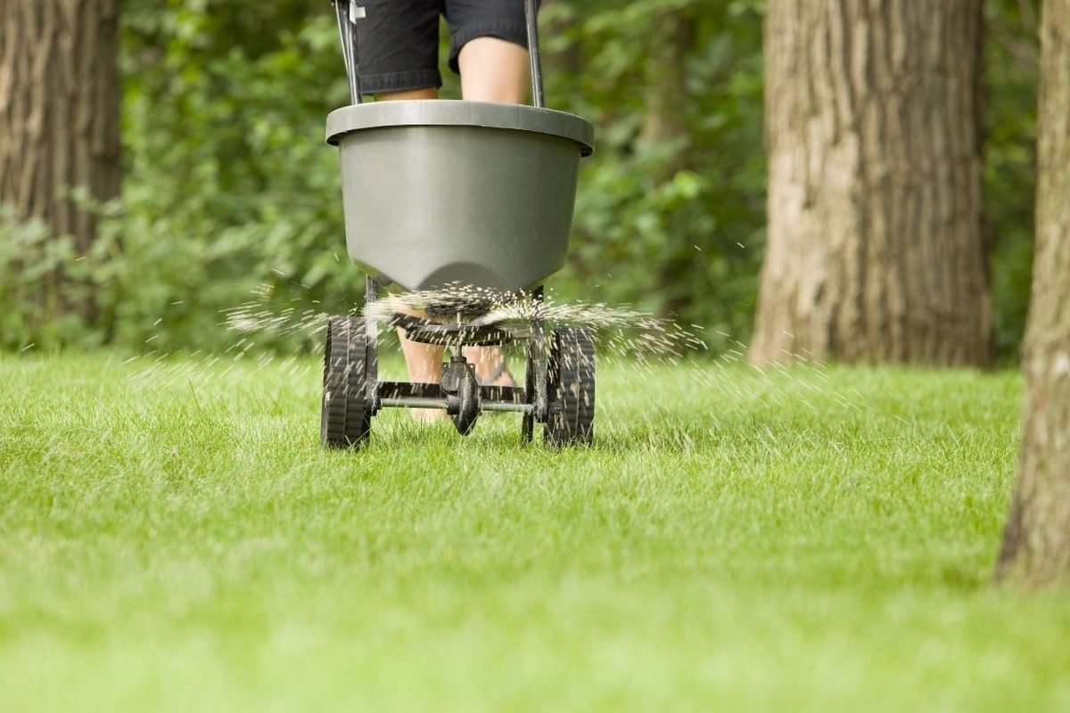 Strooiwagen op een gazon tussen bomen