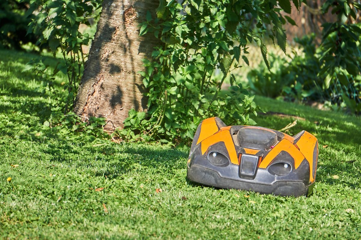 Robotmaaier op een gazon naast een tuinhuis