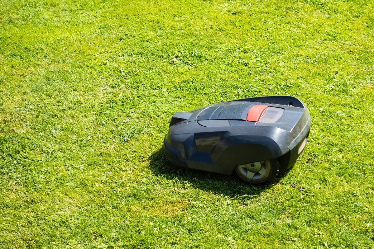 Robotmaaier met een zonnepaneel op de kast, op een gazon