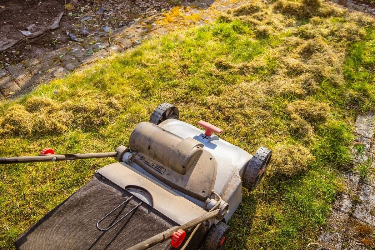 Verticuteermachine op een gazon met losgetrokken vilt