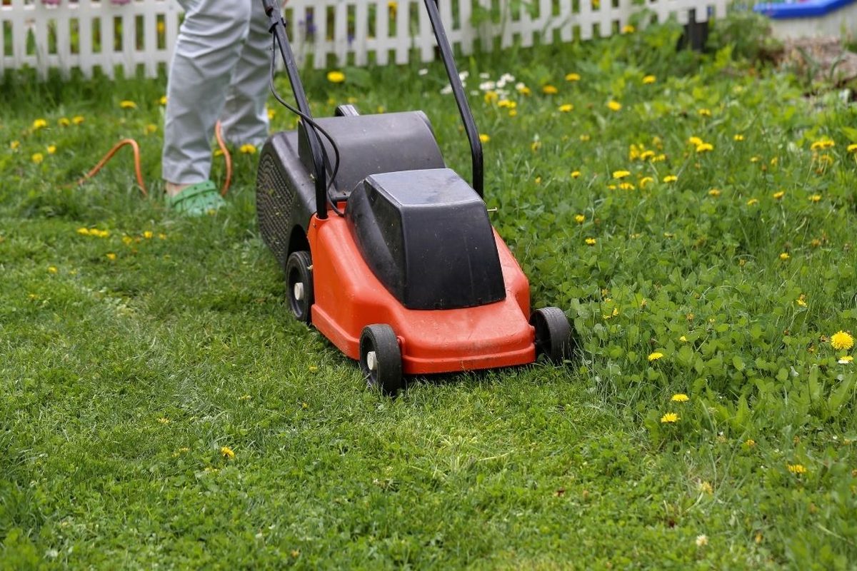 Elektrische grasmaaier op een gazon met bloeiende paardenbloemen