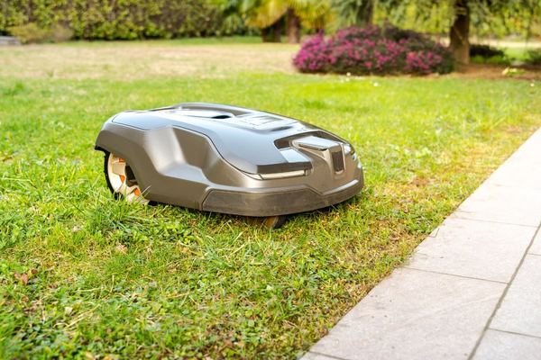 Robotmaaier langs de rand van een gazon
