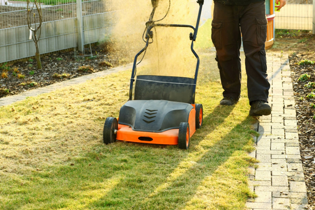 hoe gazon herstellen na de winter